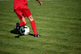 米兰全站APP正式版下载-篮球运动员心理韧性提升及干预体系建设，篮球运动员的心理训练